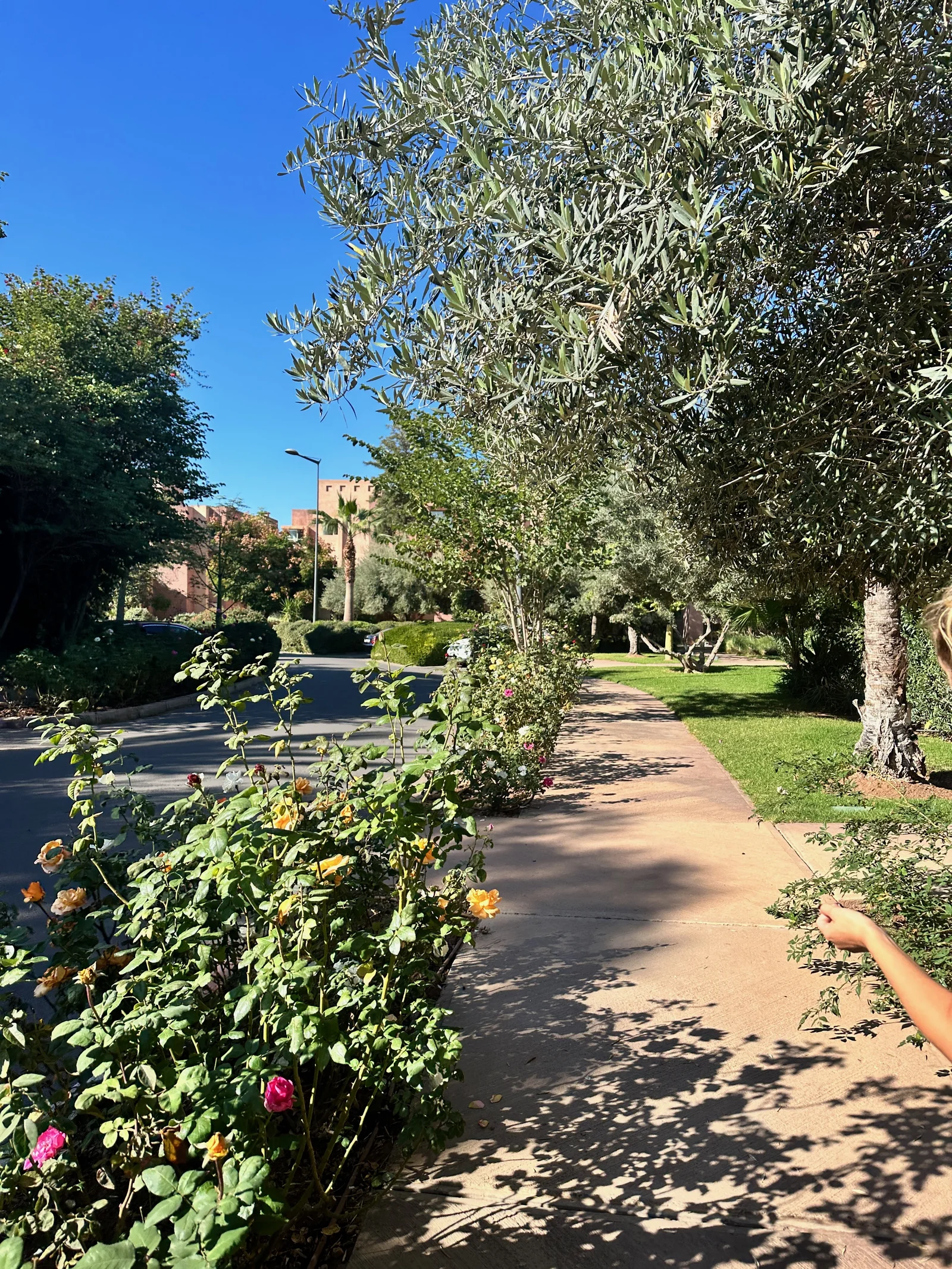 Détails de notre travail au quotidien